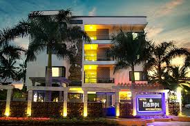 Hotel Hampi International